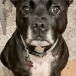 Diane Shipp - @shipp3683 - Instagram