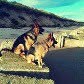 diane.short - @diane.short - Instagram
