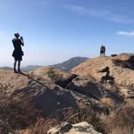 Diane Siegel - @dianelynnsiegel - Instagram