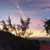dianesiegel0 - @dianesiegel0 - TikTok