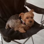 NanaD - @dianesiegler5077 - Instagram