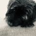 Diane Sims - Facebook
