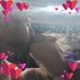 Diane Sims - Facebook