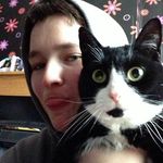 diane sinclair - @diane.sinclair.loves.cats - Instagram