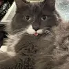 Diane Sinclair - @diane.sinclair4 - TikTok