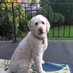 Diane Slomowitz - Facebook