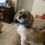 Diane Smithson - @smithson2399 - Instagram