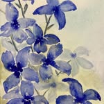 Diane Snelling - @dianecsnelling - Instagram