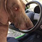 Diane snodgrass - @diane.snodgrass - Instagram