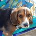 Diane Snodgrass - Facebook