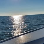 Diane Soule - @soulediane - Instagram