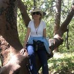 Diane Kenyon Sowers - @designmaui - Instagram