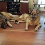 Diane Laney Spaulding - @diane.spaulding.9 - Instagram