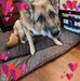 Diane Spaulding - Facebook