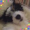 Diane Speed - @speedybug25 - TikTok