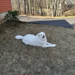 Diane Spinelli-Mcleod - Facebook