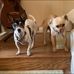 Diane Spinney - Facebook