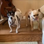 Diane Spinney - @dsjrt - Instagram