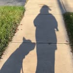 Diane Vetter Squires - @diwalksyourpups - Instagram