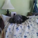 Diane Staggs - @diane_p_ - Instagram