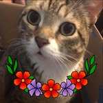 Diane Staggs - @diane_staggs - Instagram