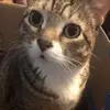 dianestaggs392 - @dianestaggs392 - TikTok