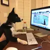 dianestamp - @diane.stamp - TikTok