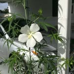 Dianne Stanger - @diannestanger - Instagram