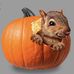 Diane Stauffer Funaki - Facebook