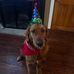 Diane Stauffer Kennard - Facebook