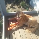 Diane Stephen - @stephendiane - Instagram