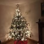 Diane Stephen - @diane.stephen.161 - Instagram