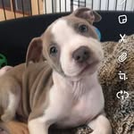 Diane Stephenson - @dianestephenson60 - Instagram