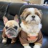 DianeStephens - @manlemomo03 - TikTok