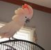 Diane Stepp - Facebook