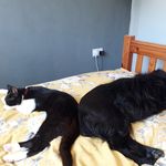 Diane Stuckey - @diane1stuckey - Instagram