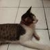 Diane Suarez - Facebook