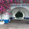 diane sutherland - @diane.sutherland8 - TikTok