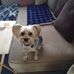 Diane Sweeney - Facebook