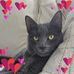Diane Sweeney - Facebook