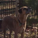 Disne Switzer - @diane.m.switzer - Instagram