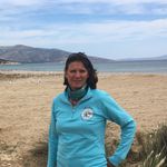 Diane Taub - @taub.diane - Instagram