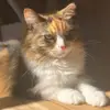 dianeteague101 - @dianeteague101 - TikTok