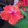 dianeteague538 - @dianeteague538 - TikTok