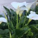 Diane Tilley - @dianetilley63 - Instagram