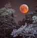 Diane Jill Tinker - Facebook