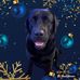 Diane Smith - Facebook