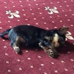Diane Tinker - @diane.tinker1 - Instagram
