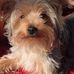 Diane Tinker - Facebook