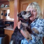 Diane Tobin - @diane.tobin.16 - Instagram